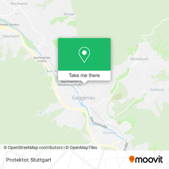 Карта Protektor