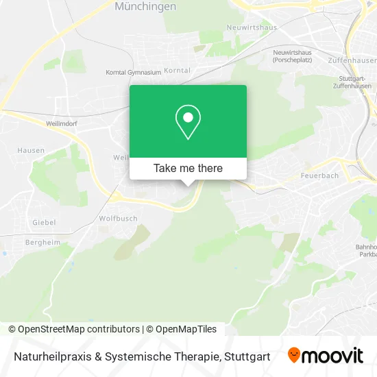 Карта Naturheilpraxis & Systemische Therapie