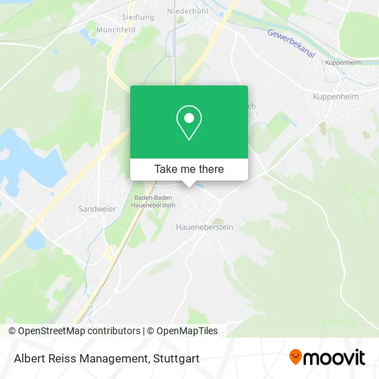 Карта Albert Reiss Management