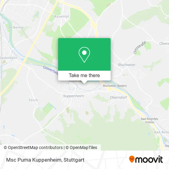 Карта Msc Puma Kuppenheim
