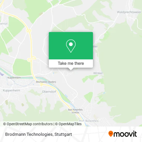 Карта Brodmann Technologies
