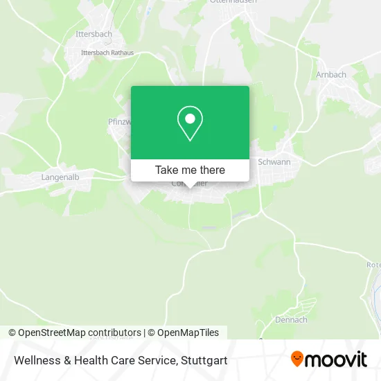 Карта Wellness & Health Care Service