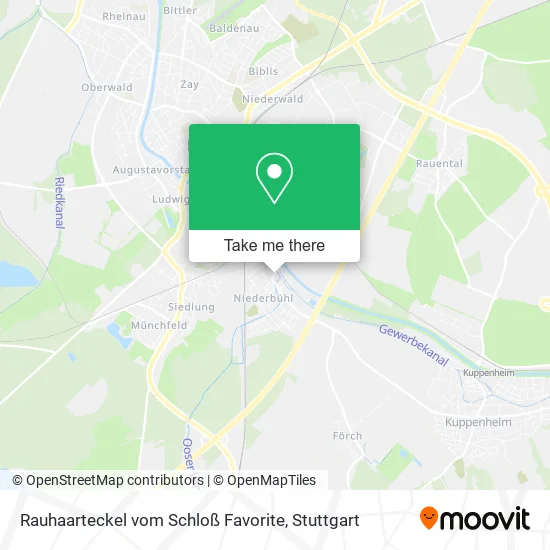 Карта Rauhaarteckel vom Schloß Favorite