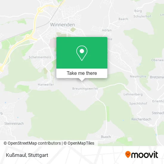 Карта Kußmaul