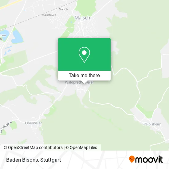 Карта Baden Bisons