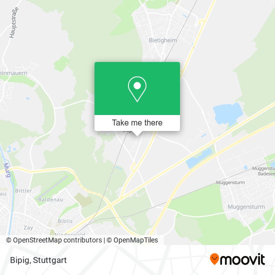 Bipig map