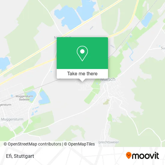 Efi map