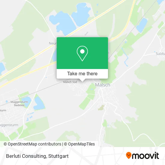 Карта Berluti Consulting