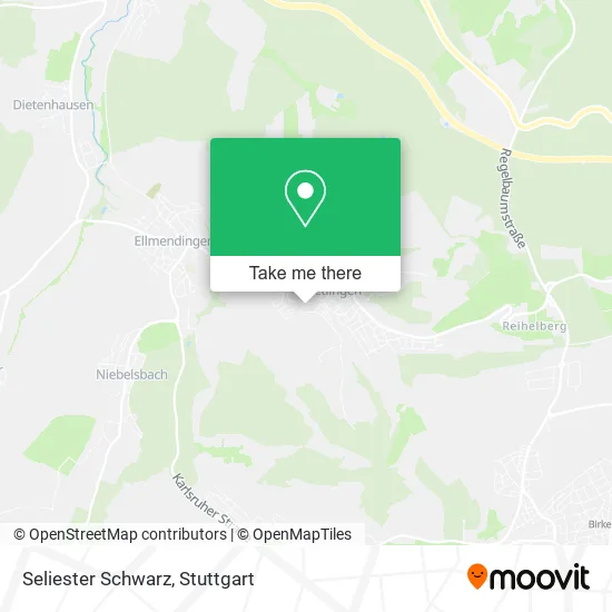 Карта Seliester Schwarz