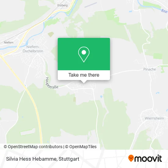 Карта Silvia Hess Hebamme