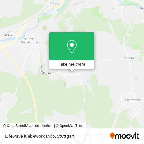 Карта Lifewave Klebeworkshop