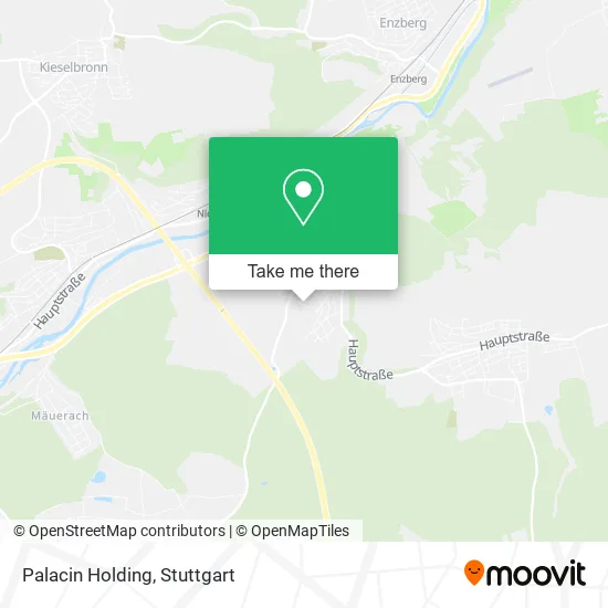 Карта Palacin Holding