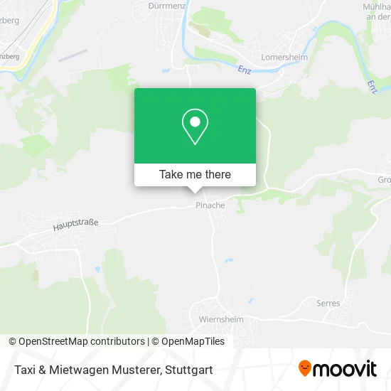 Карта Taxi & Mietwagen Musterer