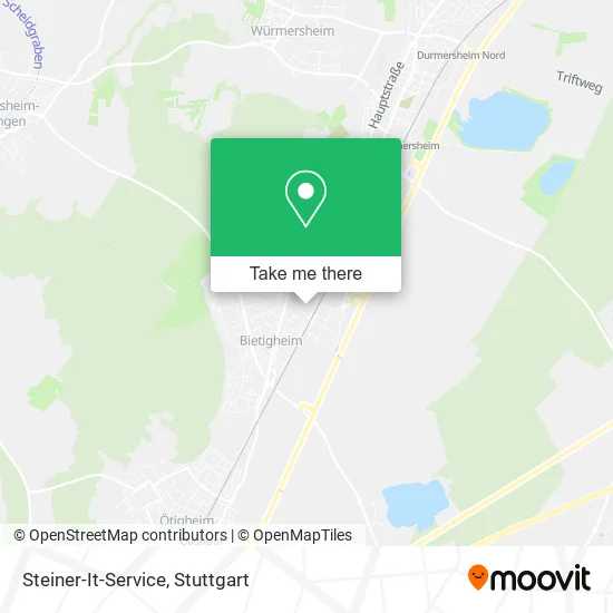Карта Steiner-It-Service