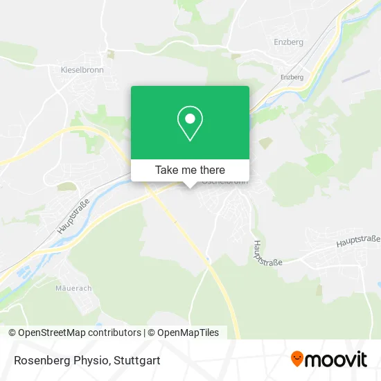 Карта Rosenberg Physio