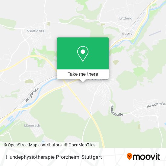 Hundephysiotherapie Pforzheim map