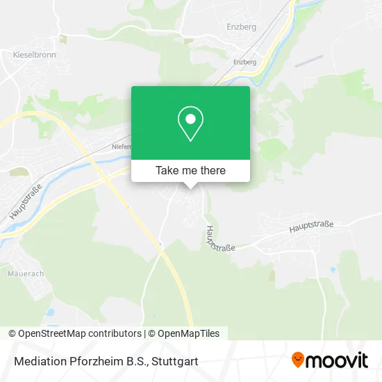 Карта Mediation Pforzheim B.S.