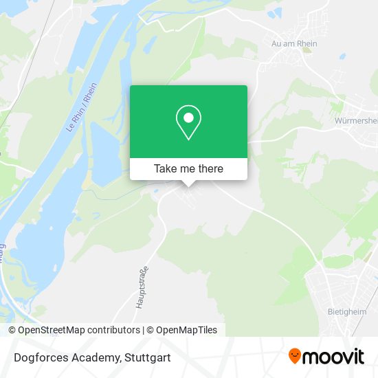 Карта Dogforces Academy