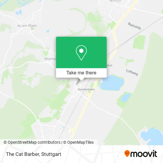 Карта The Cat Barber