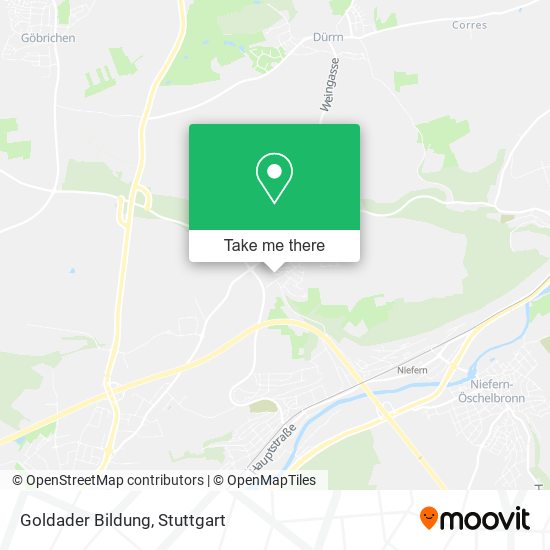 Goldader Bildung map