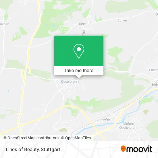 Карта Lines of Beauty