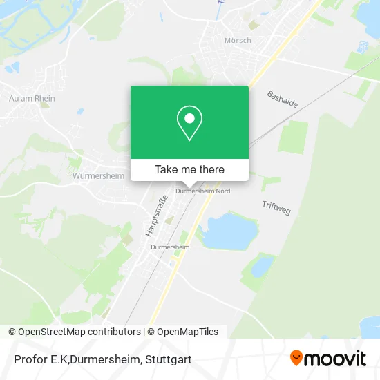 Profor E.K,Durmersheim map