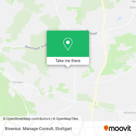 Карта Bisenius. Manage-Consult