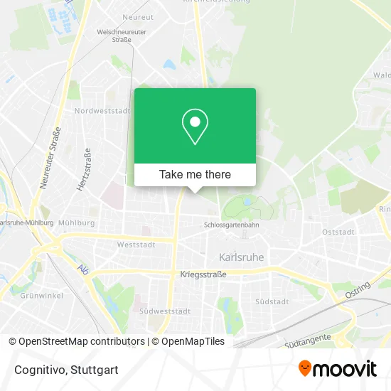 Карта Cognitivo