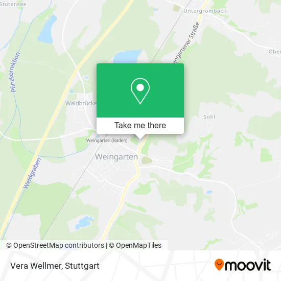 Карта Vera Wellmer