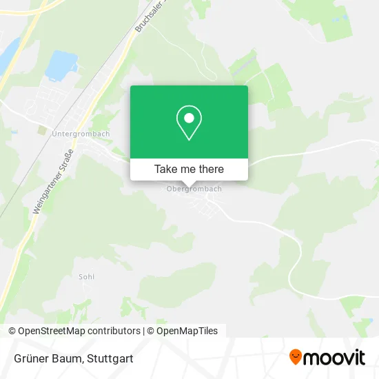 Карта Grüner Baum