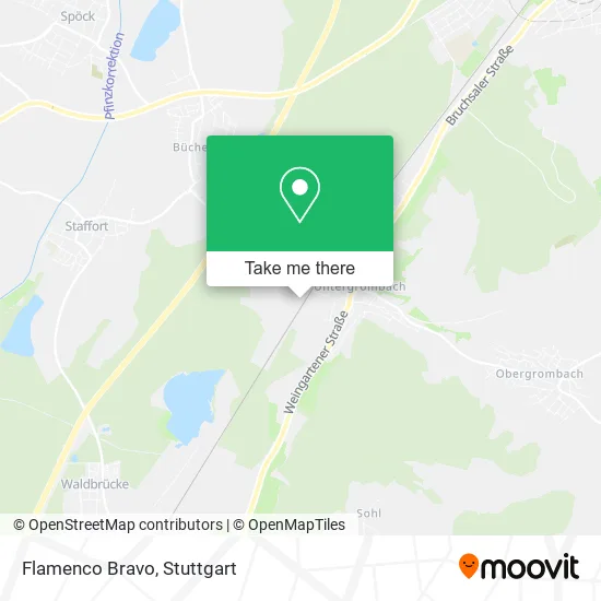 Карта Flamenco Bravo