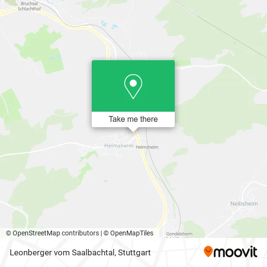 Карта Leonberger vom Saalbachtal