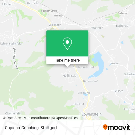 Карта Capisco-Coaching