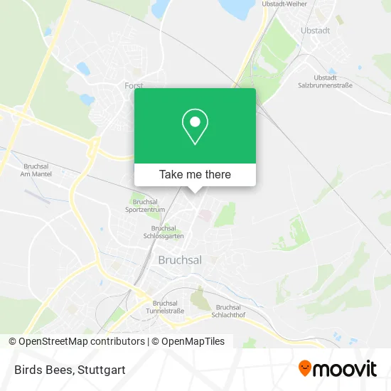 Карта Birds Bees