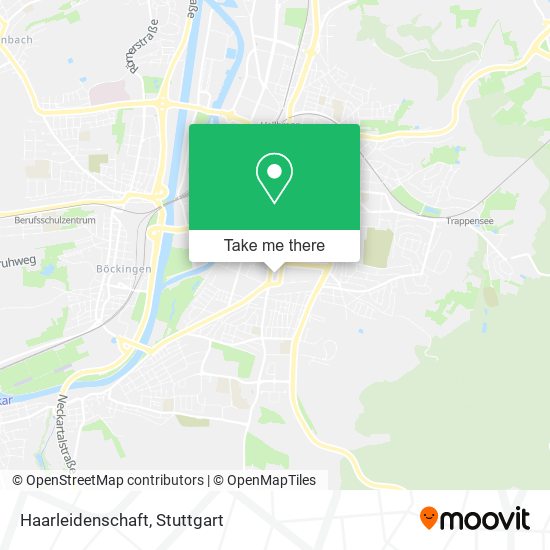 Карта Haarleidenschaft