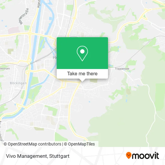 Карта Vivo Management