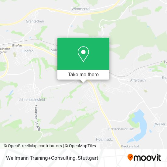 Wellmann Training+Consulting map