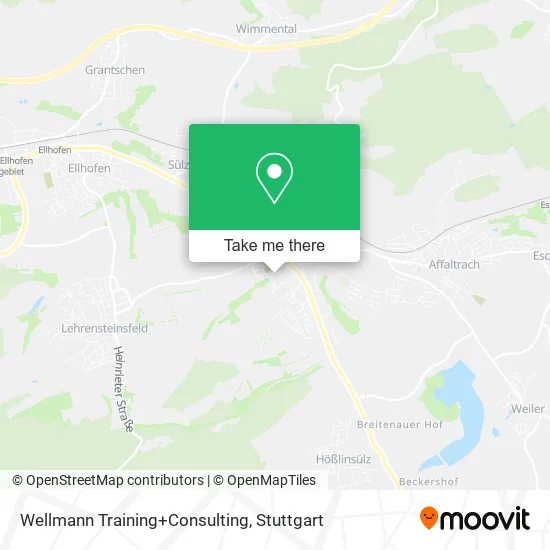 Карта Wellmann Training+Consulting