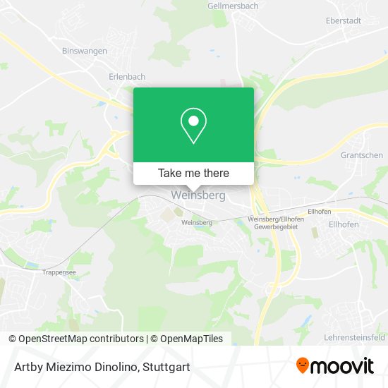 Artby Miezimo Dinolino map