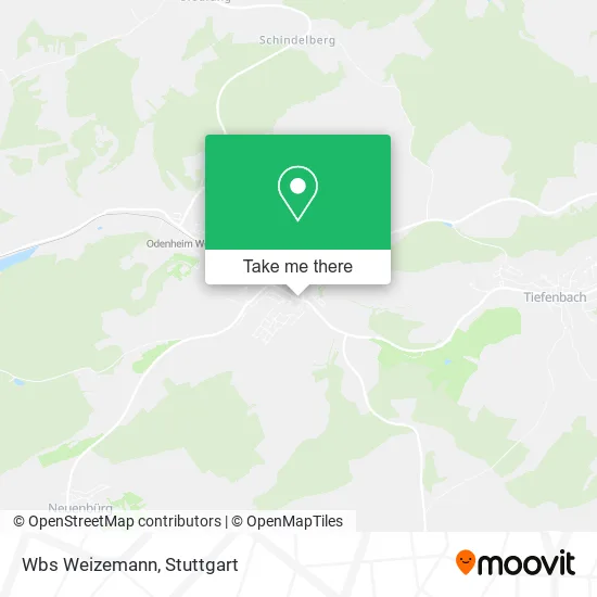 Карта Wbs Weizemann