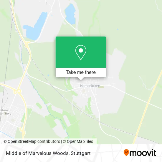 Карта Middle of Marvelous Woods