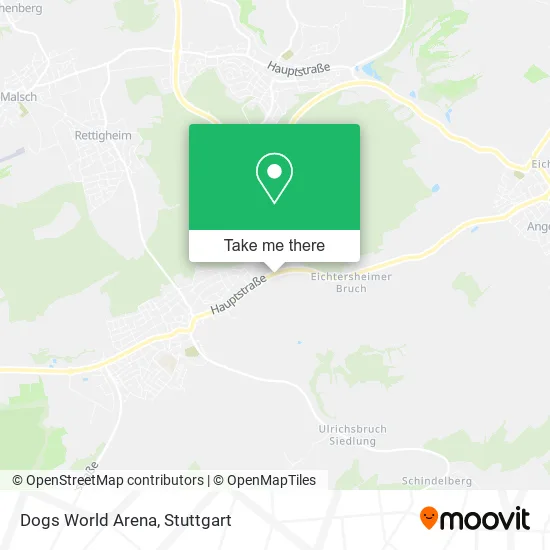 Карта Dogs World Arena