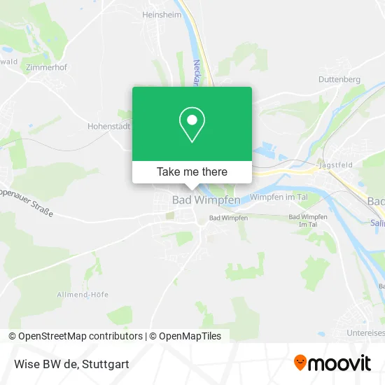 Карта Wise BW de