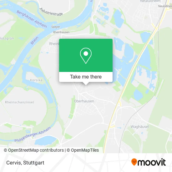 Cervis map