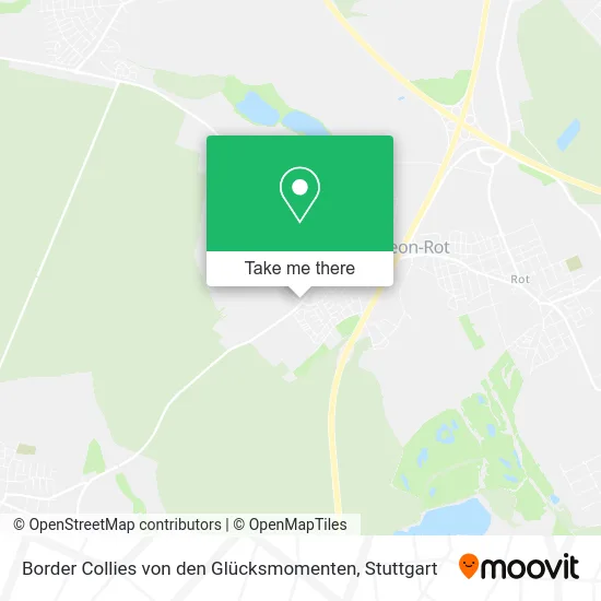 Карта Border Collies von den Glücksmomenten