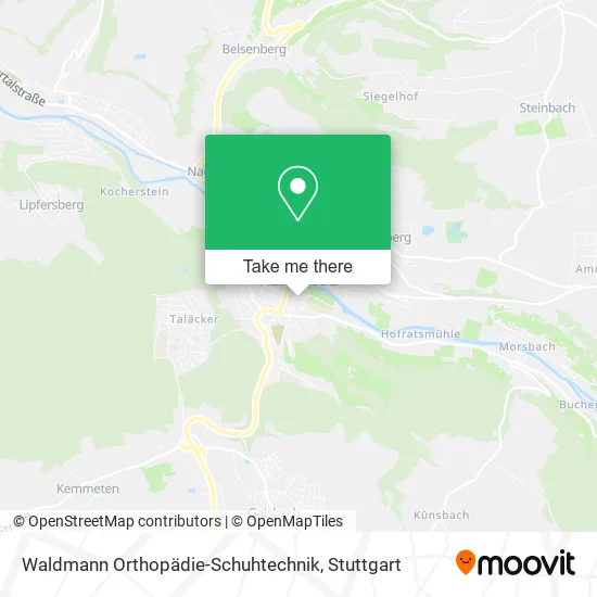 Карта Waldmann Orthopädie-Schuhtechnik