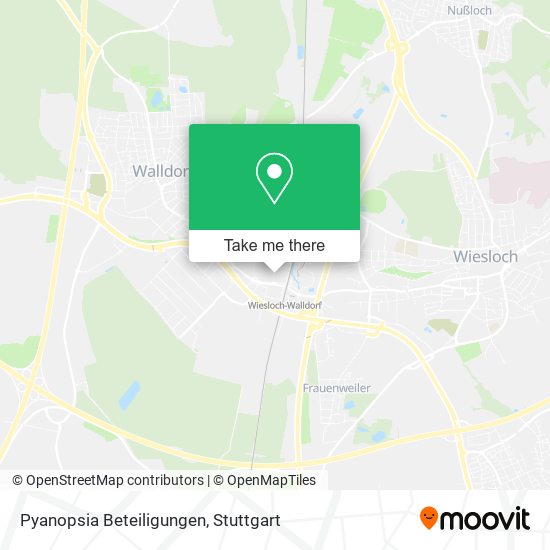 Pyanopsia Beteiligungen map