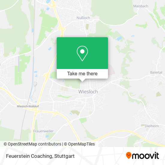 Feuerstein Coaching map