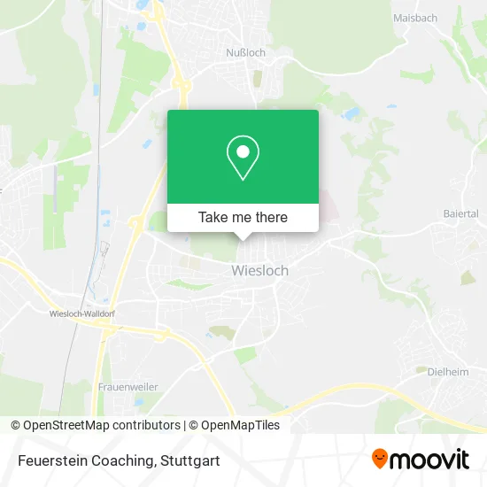 Карта Feuerstein Coaching