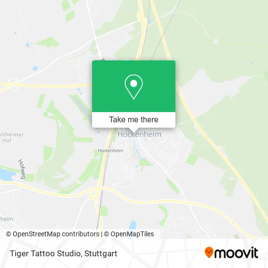 Карта Tiger Tattoo Studio